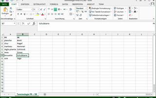 Terminology Management using an Excel Sheet – Advantages and Disadvantages